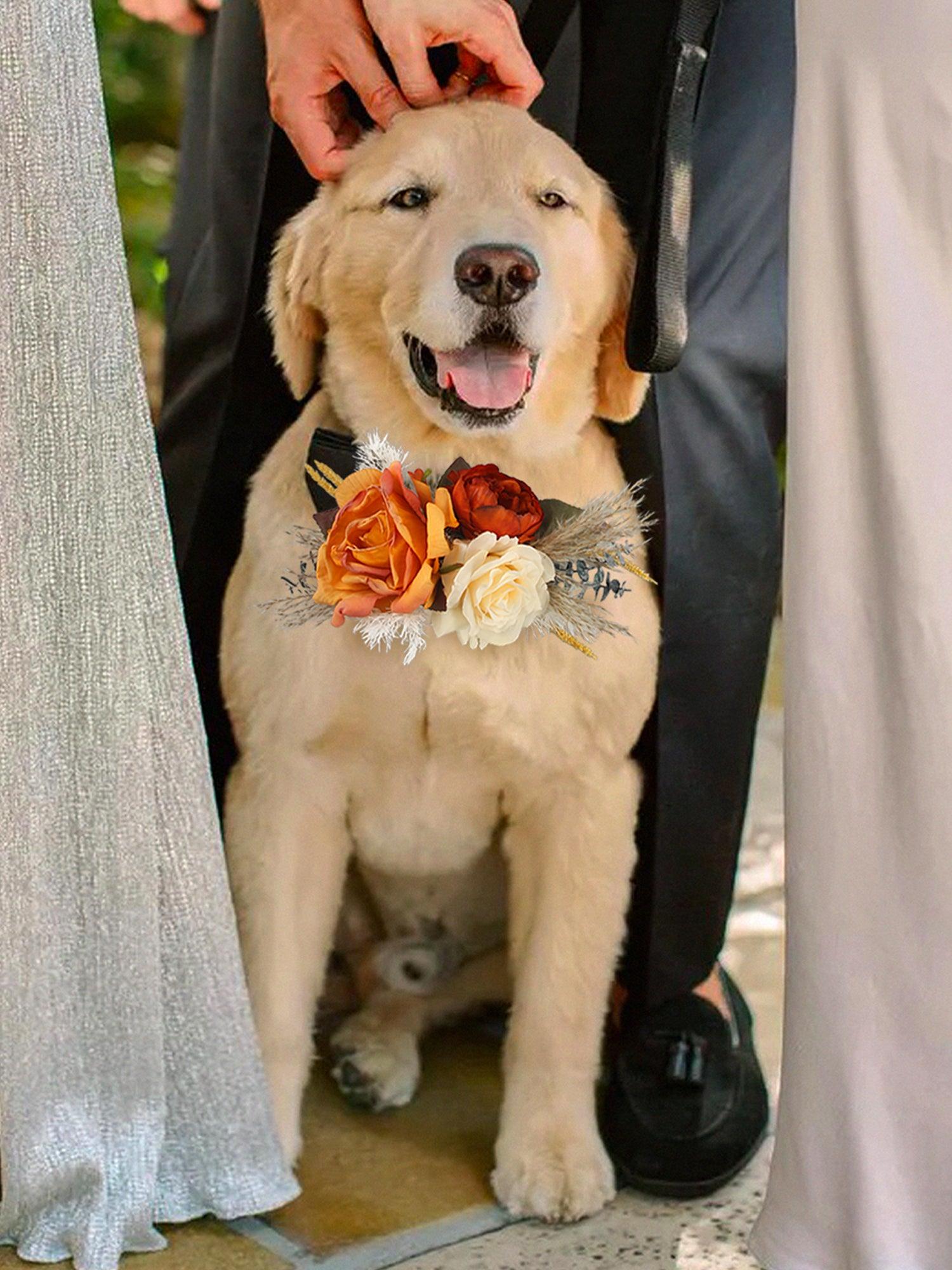lily flower dog collar Terracotta & Beige Flowers for Collars