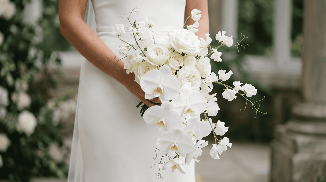 A breathtaking modern cascade bridal bouquet held by a bride, featuring white phalaenopsis orchids, sweet pea vines, and white garden roses spilling downwards effortlessly