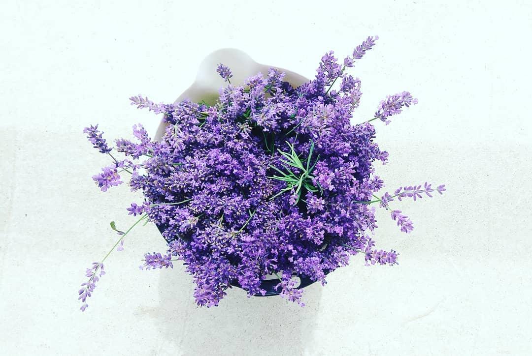 Why Are Lavenders Popular for Rustic Weddings? - Rinlong Flower