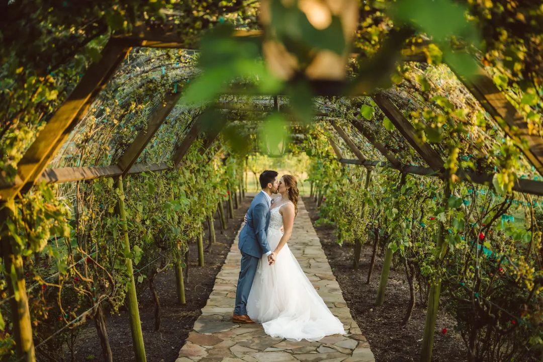 How to Choose Flowers for a Vineyard Wedding? - Rinlong Flower