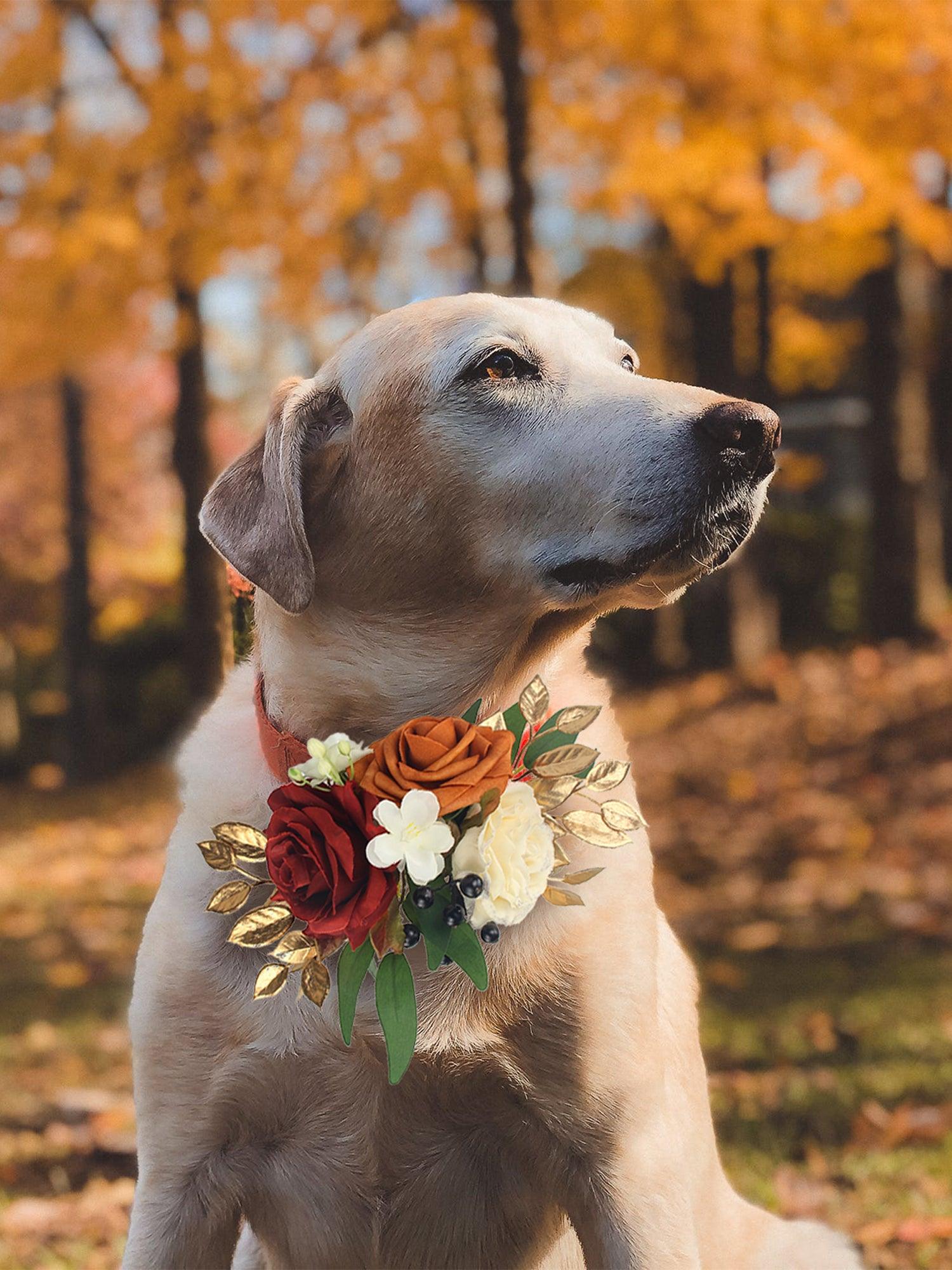Burnt Orange & Burgundy Flowers for Collars - Rinlong Flower