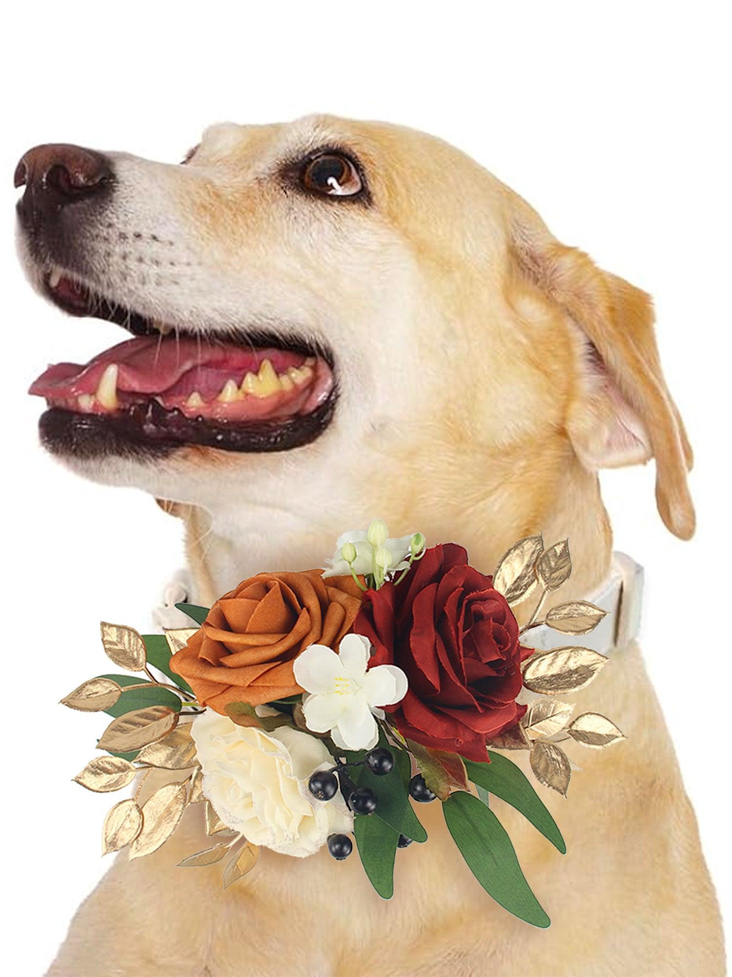 Burnt Orange & Burgundy Flowers for Collars - Rinlong Flower