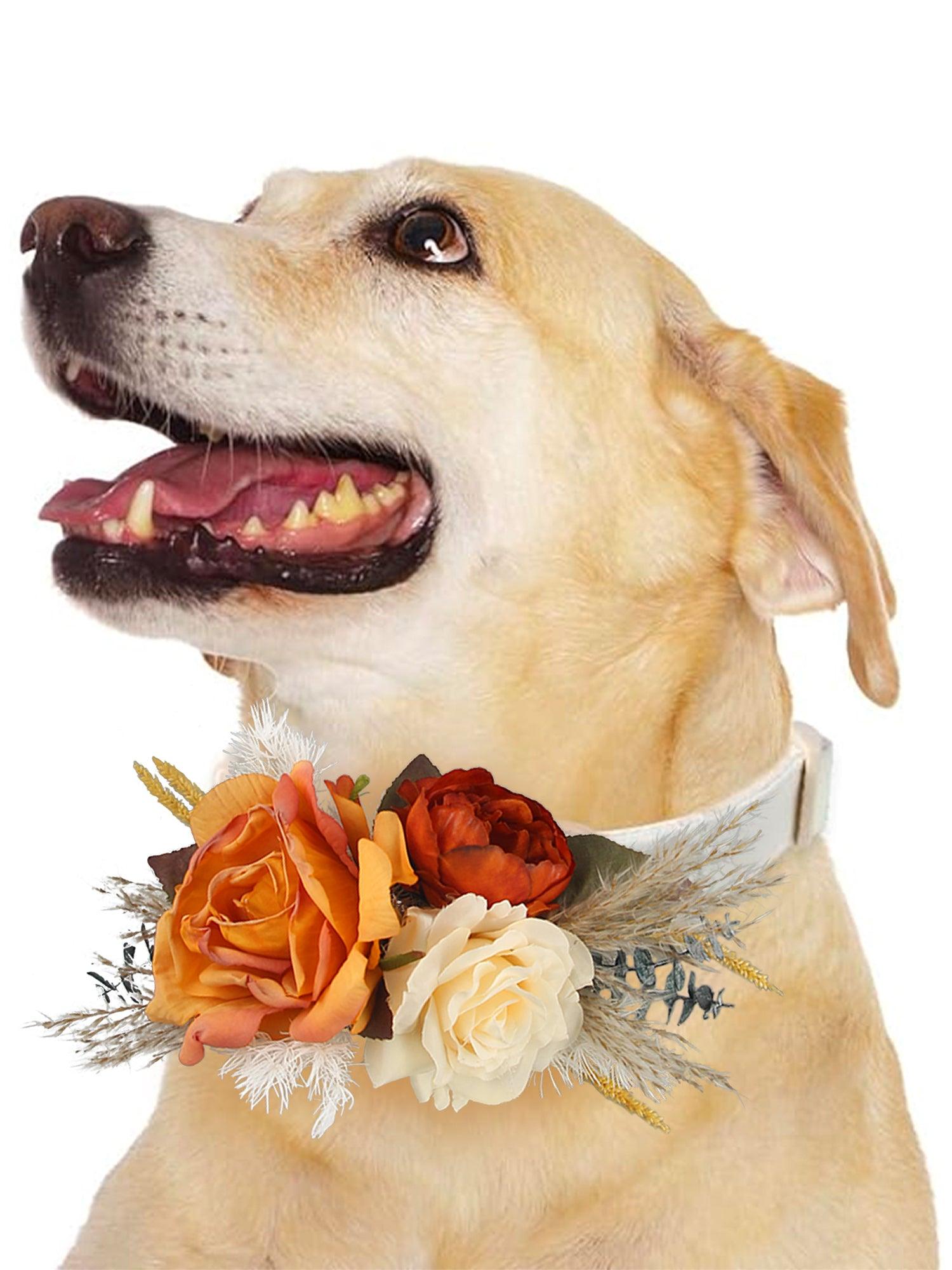 Terracotta & Beige Flowers for Collars - Rinlong Flower
