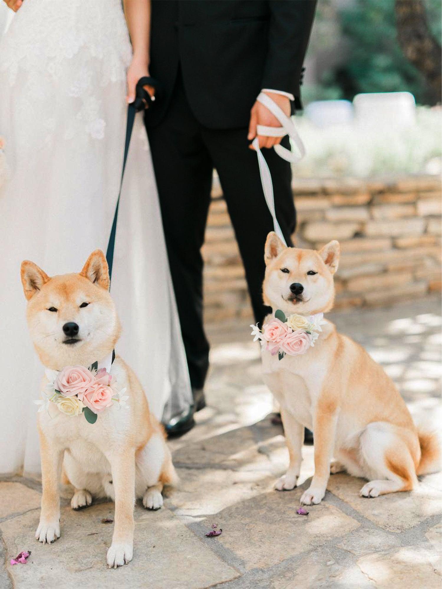 Blush Pink Flowers for Collars - Rinlong Flower