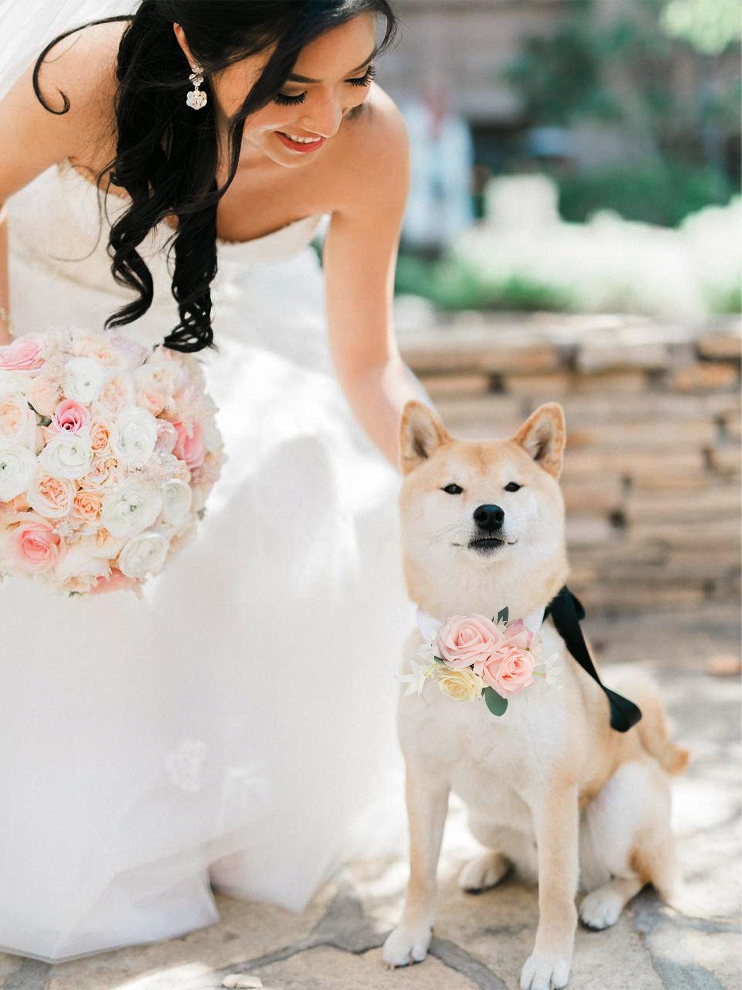 Blush Pink Flowers for Collars - Rinlong Flower