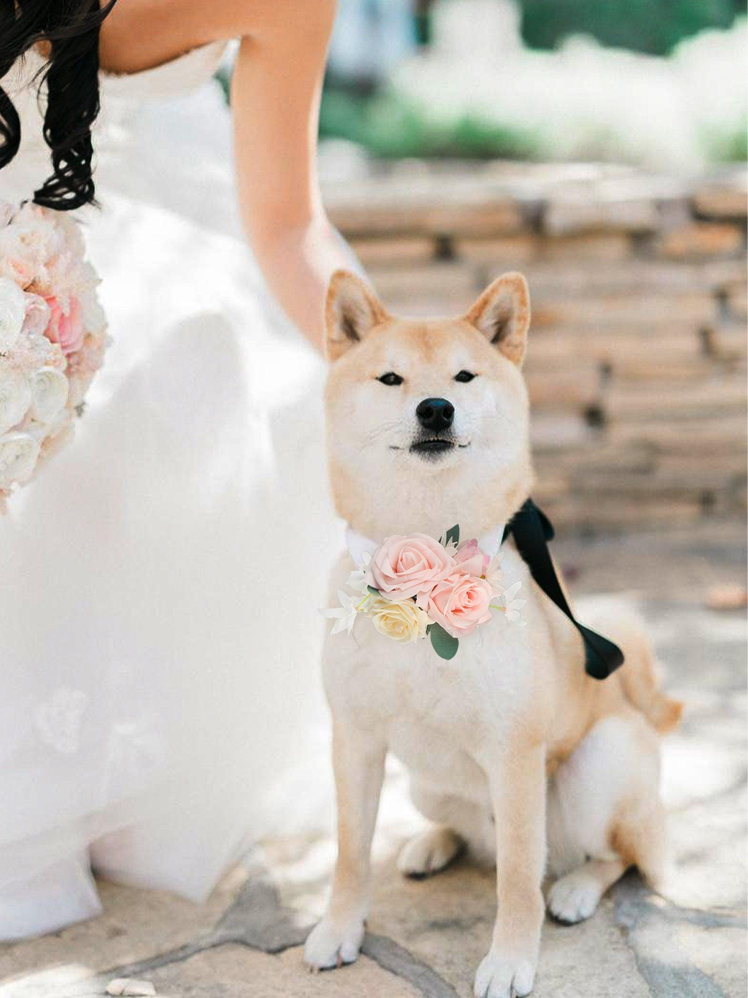 Blush Pink Flowers for Collars - Rinlong Flower
