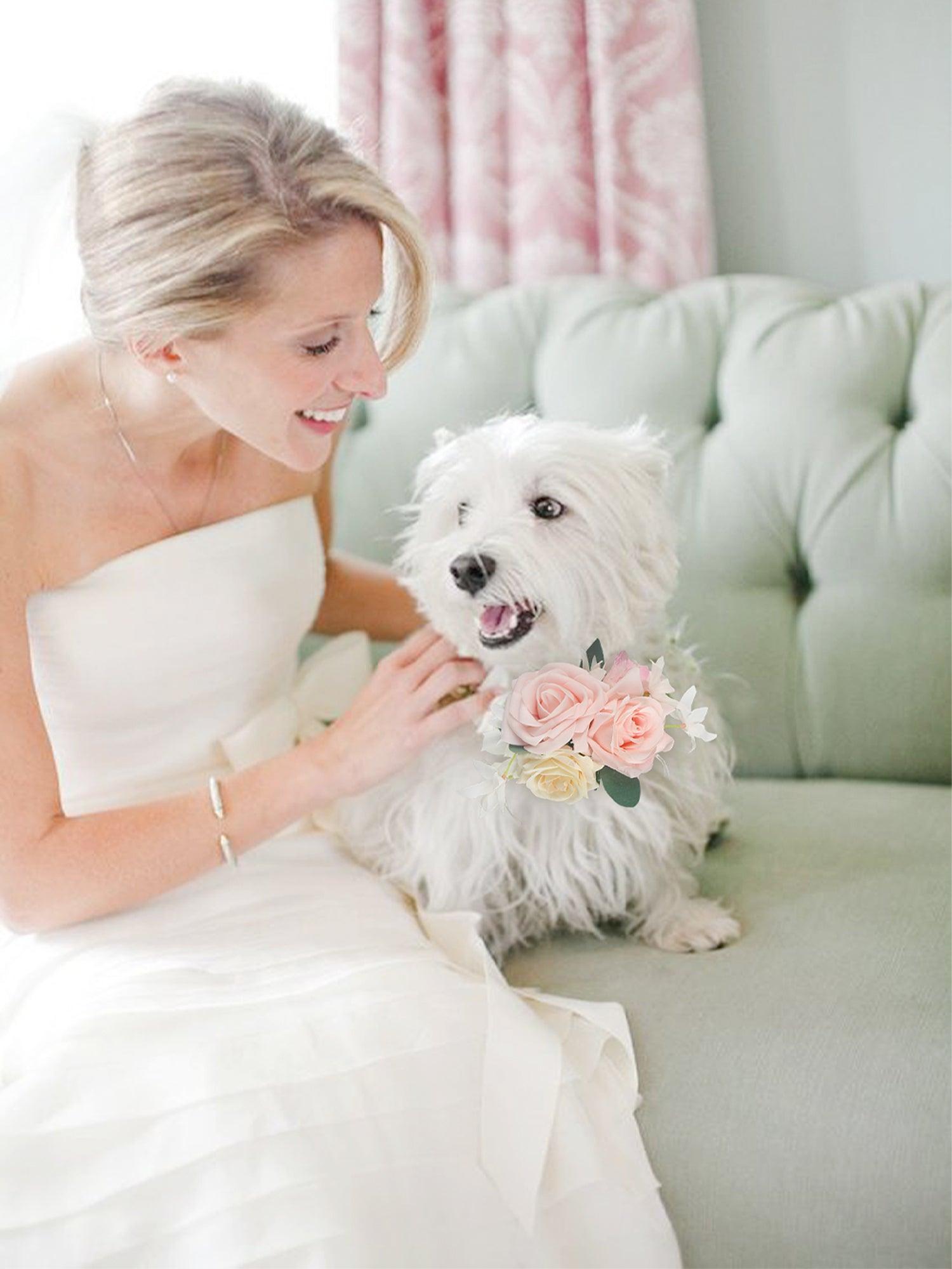 Blush Pink Flowers for Collars - Rinlong Flower