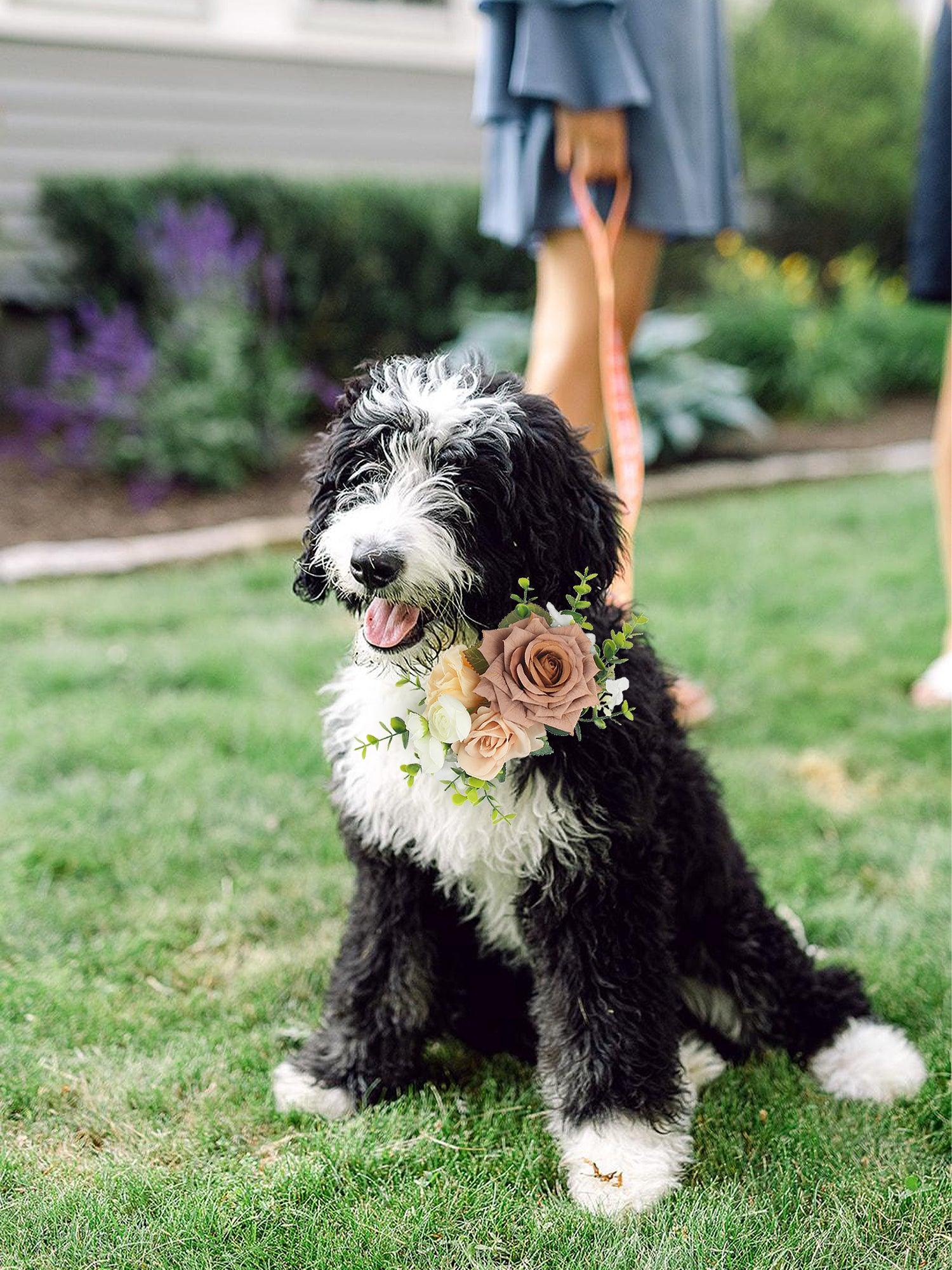 Dusty Rose & Champagne Flowers for Collars - Rinlong Flower