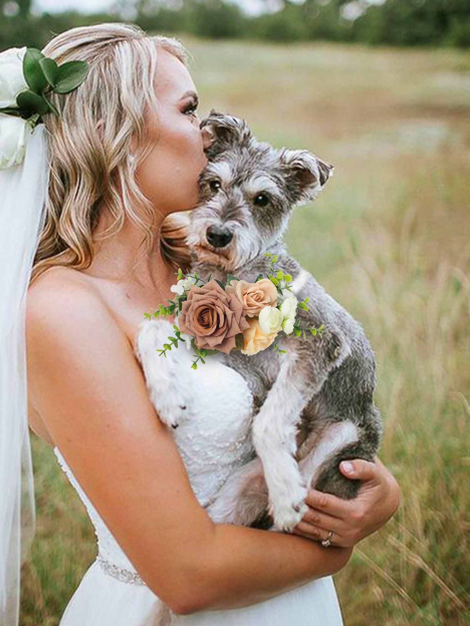 Dusty Rose & Champagne Flowers for Collars - Rinlong Flower
